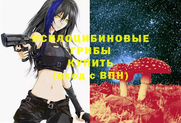 круглые Пестово